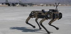 Guerre  Gaza et robots quadrupdes. Des robots-chiens dvelopps par Ghost Robotics (Isral).