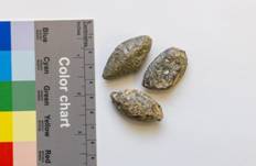 The bullets may offer the first material evidence from the battles made famous by the Jewish holiday of Chanukah. (credit: Elad Zagman/TPS-IL)